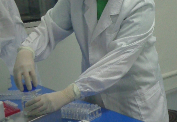 湘潭正规的亲子鉴定检测服务机构地方, 湘潭正规的亲子鉴定检测服务机构地方,