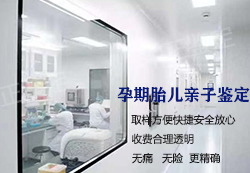 湘潭怀孕32天能办理怀孕亲子鉴定吗 湘潭怀孕32天能办理怀孕亲子鉴定吗