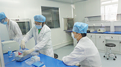 湘潭亲子鉴定中心需要的条件和材料有哪些,湘潭亲子鉴定中心地址在哪里 湘潭亲子鉴定中心需要的条件和材料有哪些,湘潭亲子鉴定中心地址在哪里