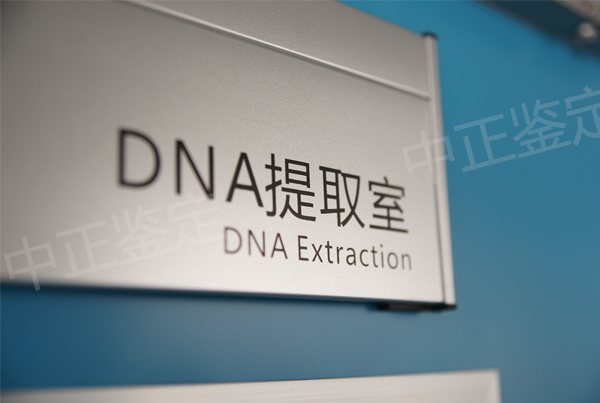 刚怀孕湘潭需要如何做胎儿亲子鉴定,湘潭做怀孕亲子鉴定结果会不会有问题 刚怀孕湘潭需要如何做胎儿亲子鉴定,湘潭做怀孕亲子鉴定结果会不会有问题